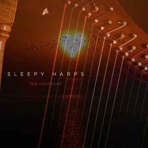 一级a黄片在线免费看
