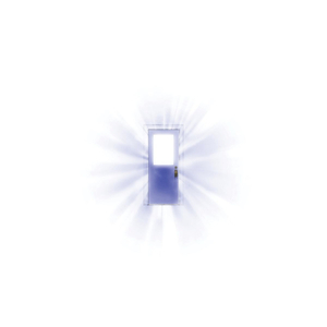 一级a黄片在线免费看
