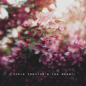 一级a黄片在线免费看
