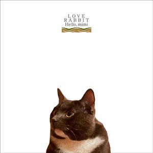 一级a黄片在线免费看
