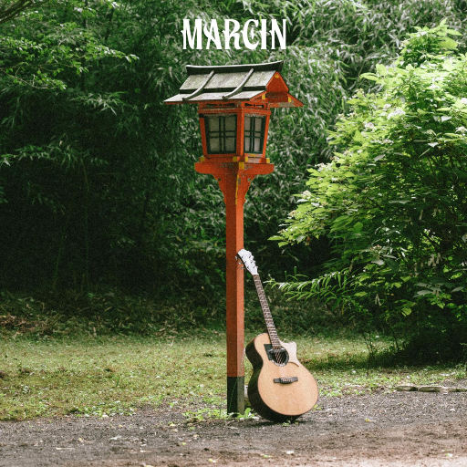 一级a黄片在线免费看
